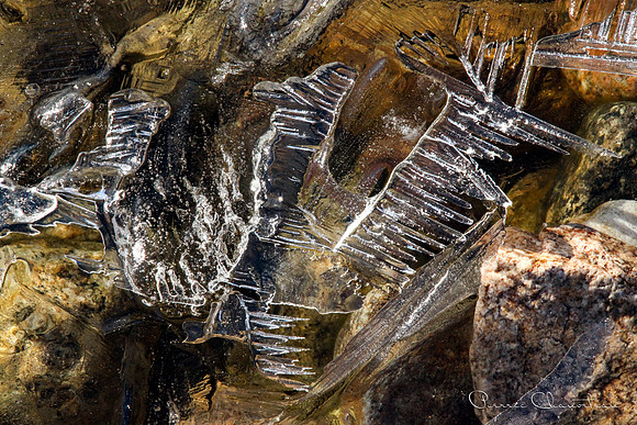 Fine art-4-20130508-IMG_9497