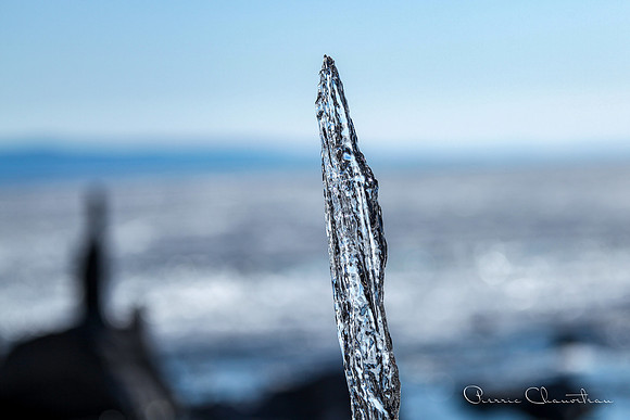 Fine art-6-20130508-IMG_9542