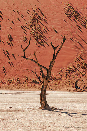 Namibia-145-20220610_32A8771