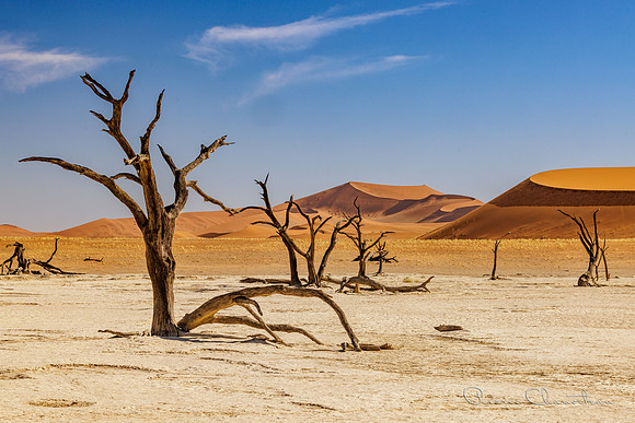 Namibia-172-20220610_32A8758
