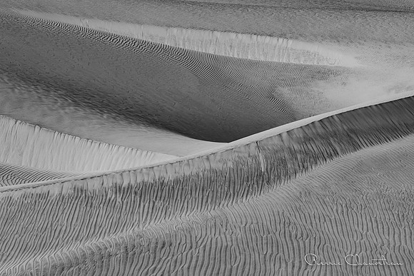 Fine Art -10-20220608_32A8143
