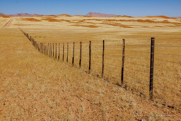 Namibia-112-20220609_32A8373