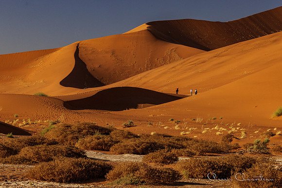 Namibia-134-20220610_32A8608