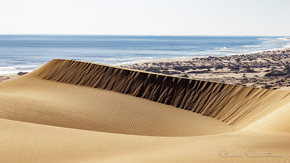 Namibia-118-20220608_32A8163