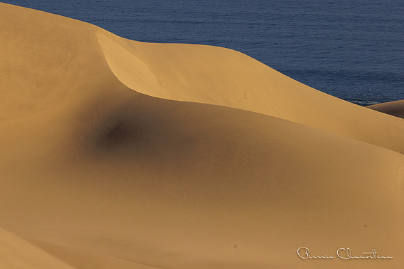 Namibia-125-20220608_32A8170