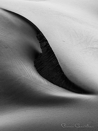 Fine Art-9-20220608_32A8032