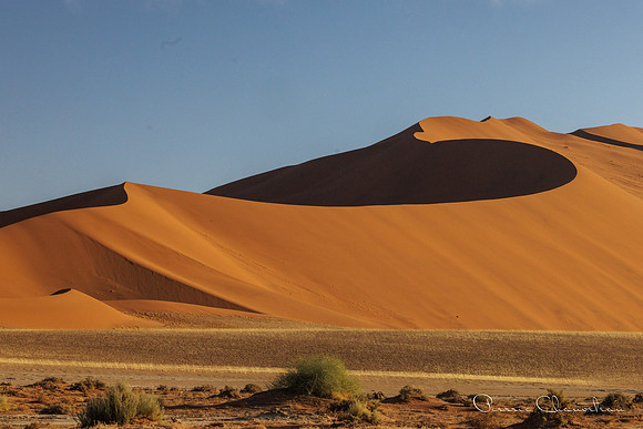 Namibia-130-20220610_32A8593