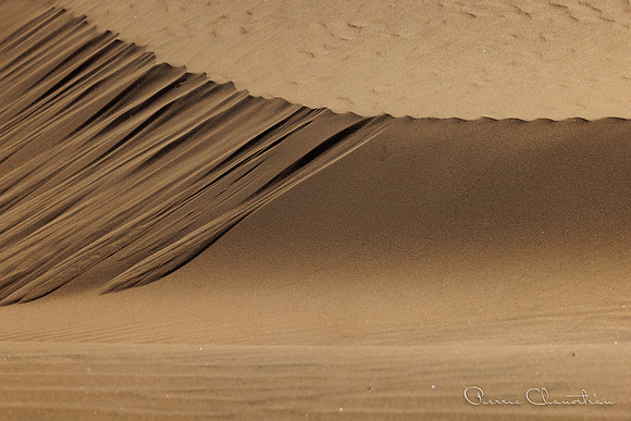 Namibia-124-20220608_32A8162