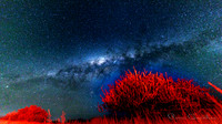 Night-004-2022061220220612_32A9082