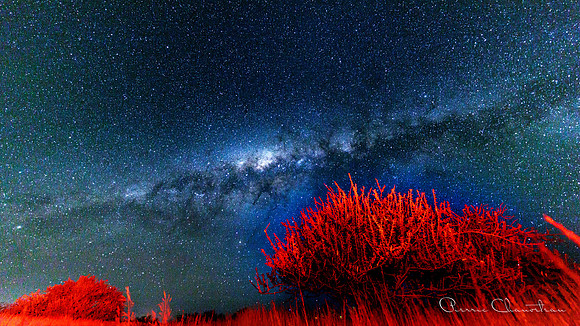 Night-004-2022061220220612_32A9082