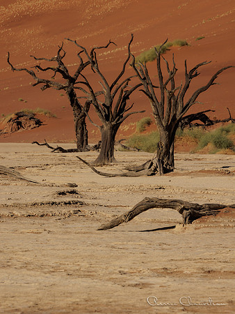 Namibia-142-20220610_32A8666