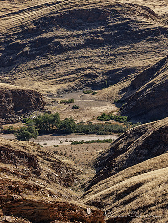 Namibia-114-20220609_32A8338