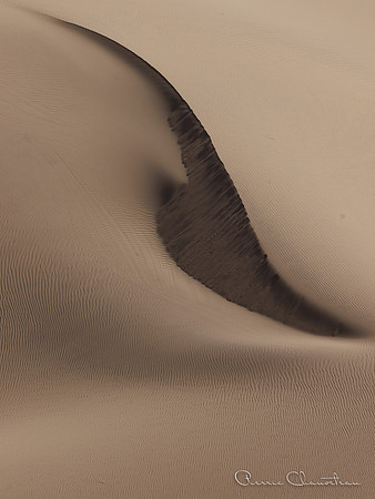 Namibia-119-20220608_32A8027