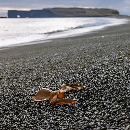 Iceland-6