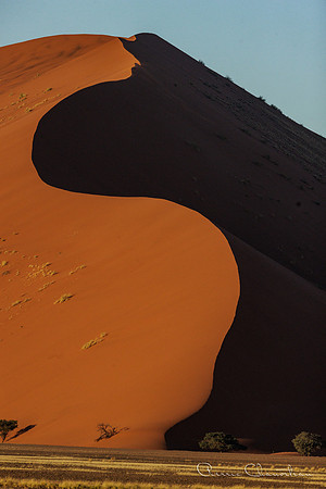 Namibia-127-20220610_32A8546