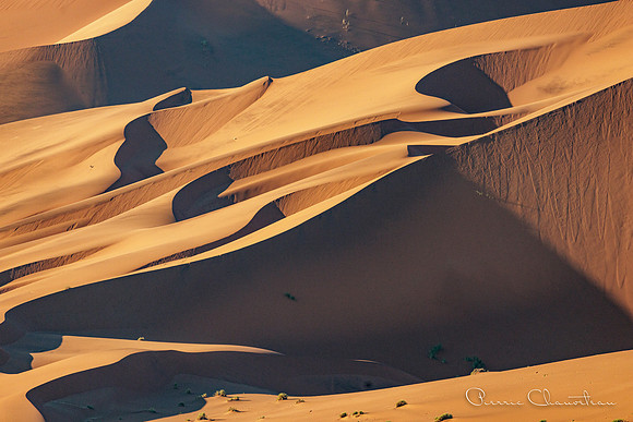 Namibia-132-20220610_32A8598